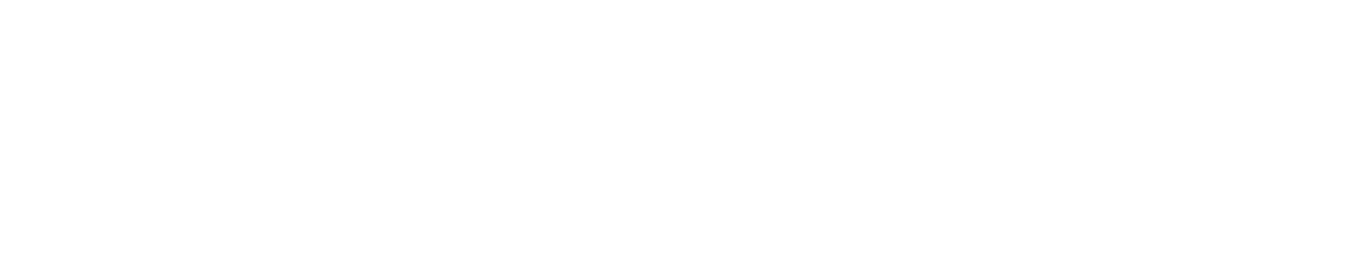 Vetting.com logo