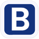BrassRing logo