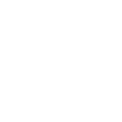 VR Vision